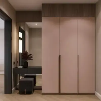 Встроенный шкаф в прихожую