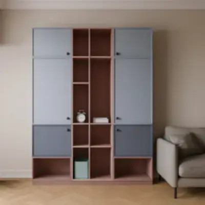 Шкаф-стеллаж в гостиную