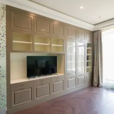 Шкаф в гостиную с ТВ нишей и библиотекой