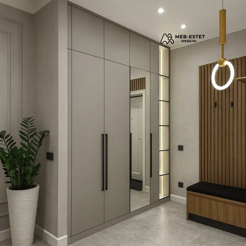 Встроенный шкаф Серый Прихожая