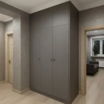 Встроенный шкаф в прихожую